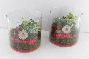 Red Cylindrical Glass Plant Arrangement – 20cm Pot