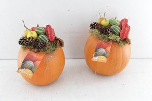 Decorative Pumpkin Arrangement – 15cm Pot
