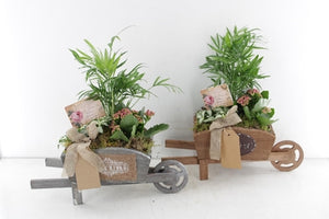 Mixed Plant Arrangement in Wooden Wheelbarrow – 35cm