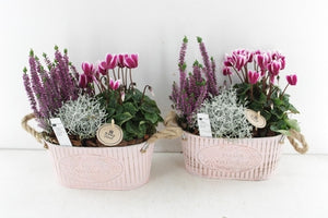 Vintage Pink Zinc Garden Arrangement – 24cm Pot