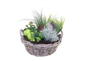 Outdoor Kubu Wicker Arrangement – 30cm