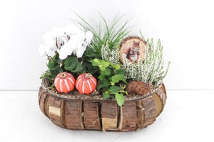 Outdoor Arrangement with Oval Bark Discs – 32cm