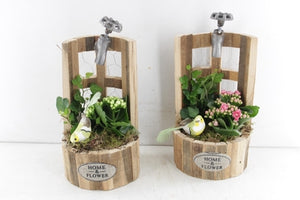 Watering Can Plant Arrangement – 17cm Wooden Pot