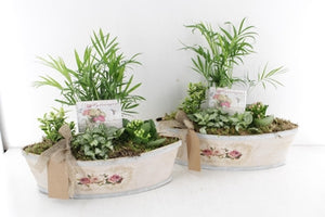 Mixed Rose Arrangement in Wooden Pot – 45cm
