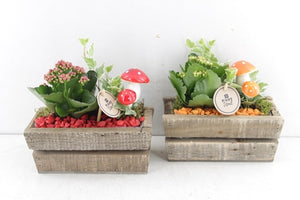 Mixed Plant Arrangement in Brown Rectangular Wooden Pot – 20cm