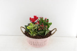 Pink Outdoor Arrangement in Zinc Planter