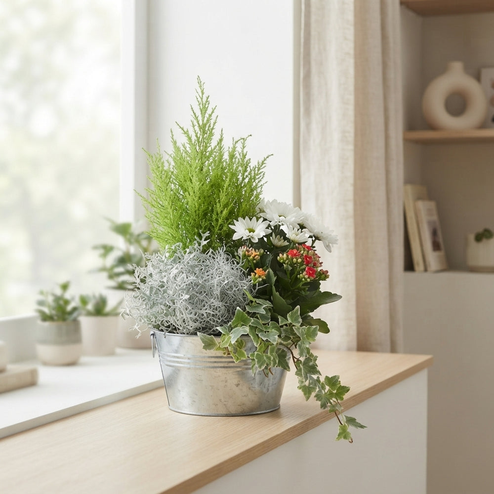 Round Zinc Plant Arrangement – 21cm Pot
