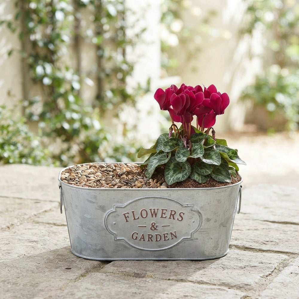 Ornamental Zinc Pot Arrangement – 21cm Pot