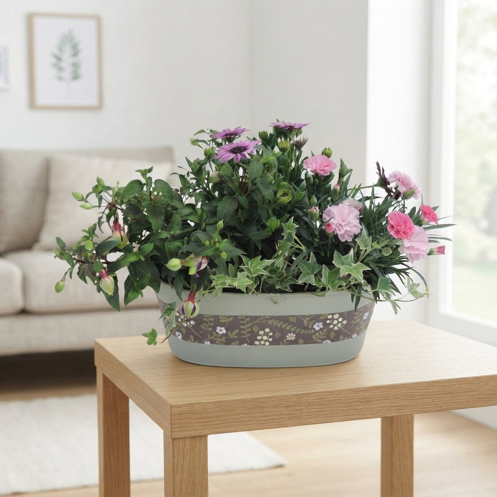 Oval Zinc Plant Arrangement – 26cm Pot