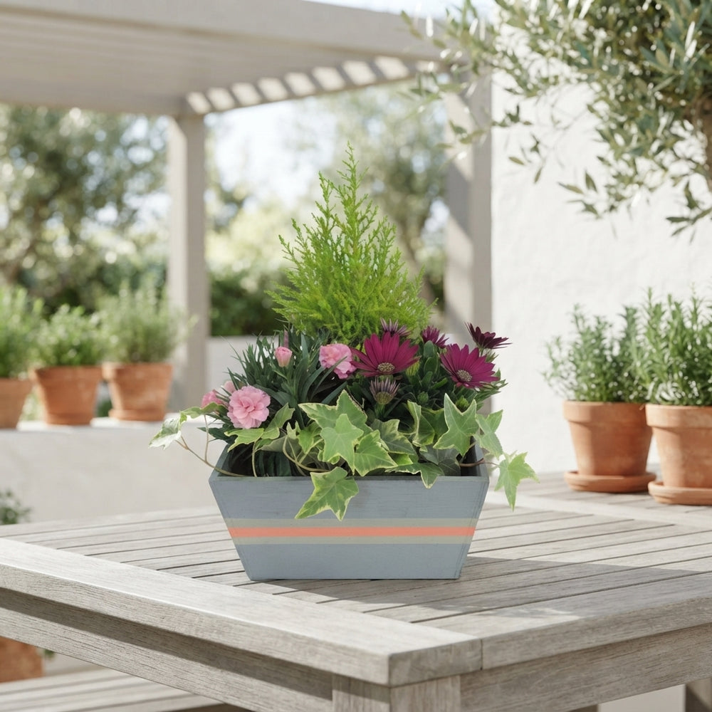 Wooden Potted Plant Arrangement – 21cm Pot