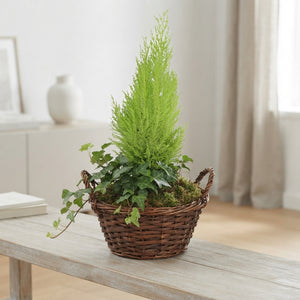 Ornamental Zinc Arrangement – 25cm Pot