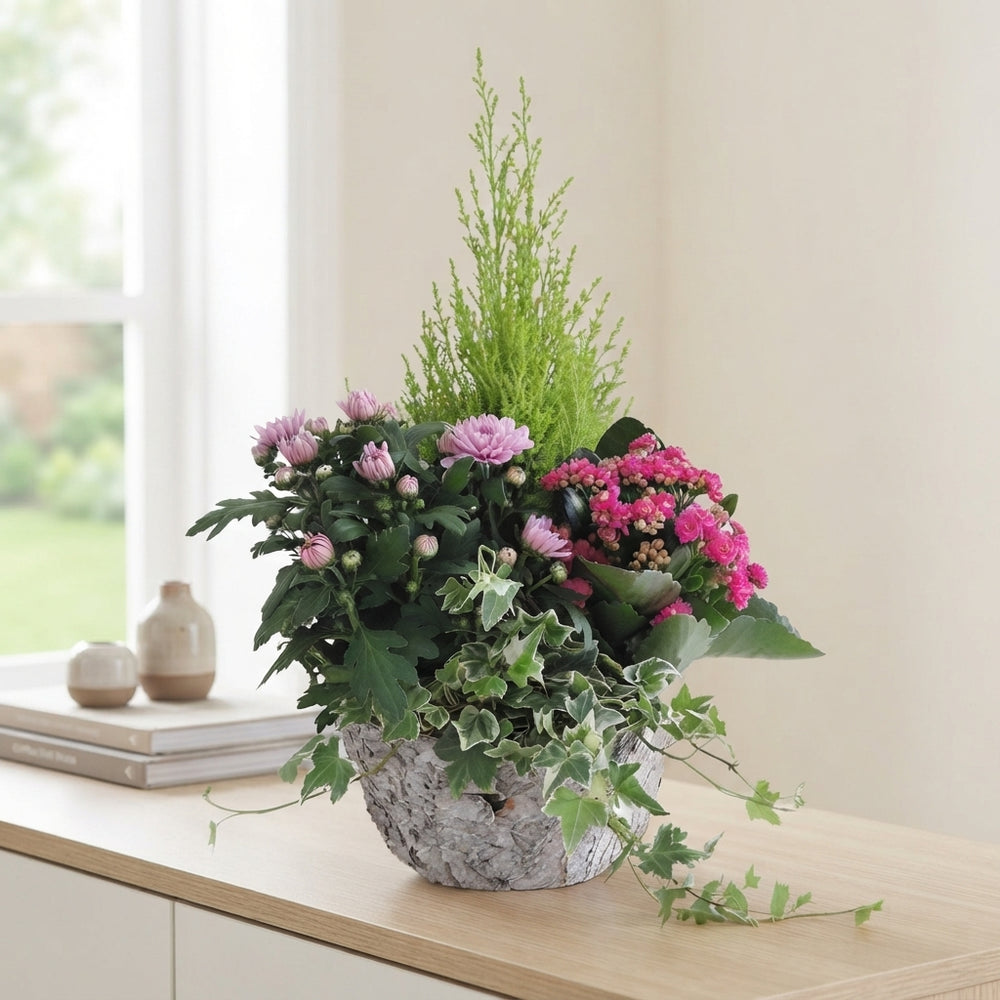 Round Wicker Plant Arrangement – 25cm Pot