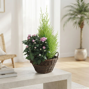 Ornamental Wicker Pot Arrangement – 25cm Pot, 60cm High