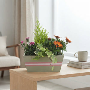 Oval Wooden Plant Arrangement – 25cm