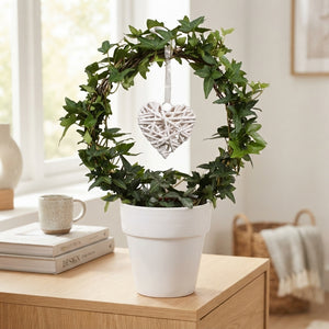 Green Ivy Heart Arch (Hedera helix) – 13cm Ceramic Pot