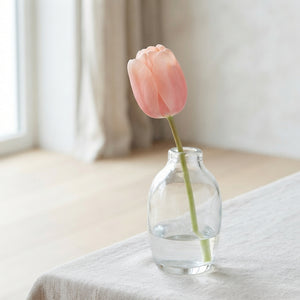 Salmon Impression Darwin Hybrid Tulip Bulbs