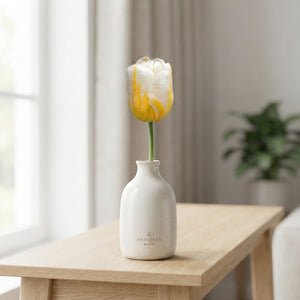 Tulipa ‘Alfred Heineken’ Tulip Bulbs – 12/+ Size