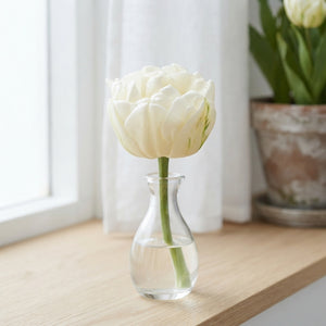 Double Late Tulip ‘Mount Tacoma’ Bulbs – 7 Pack