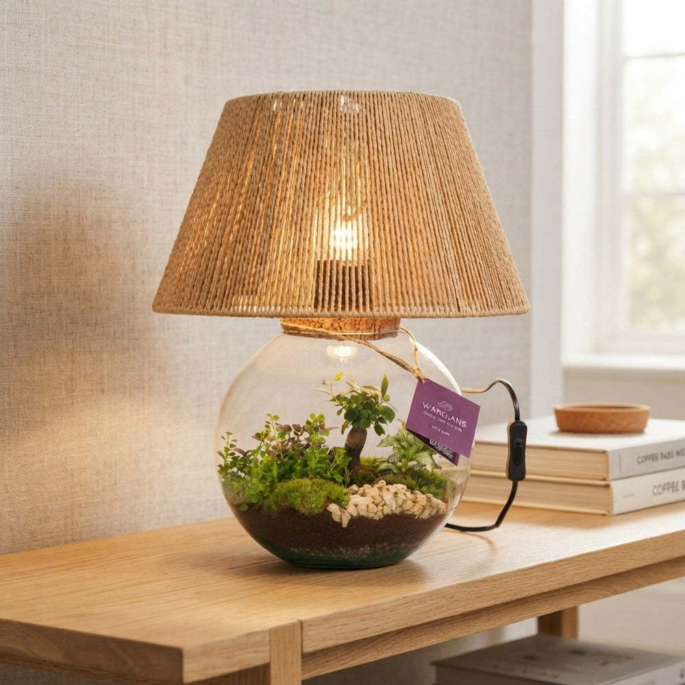 Moonlight LED Glass Terrarium – 36cm