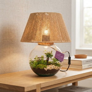 Moonlight LED Glass Terrarium – 36cm