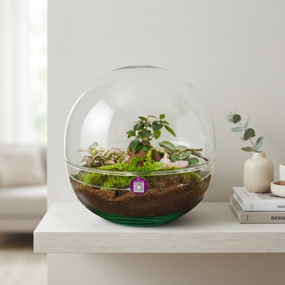 Large Glass Terrarium Arrangement – 29cm Pot