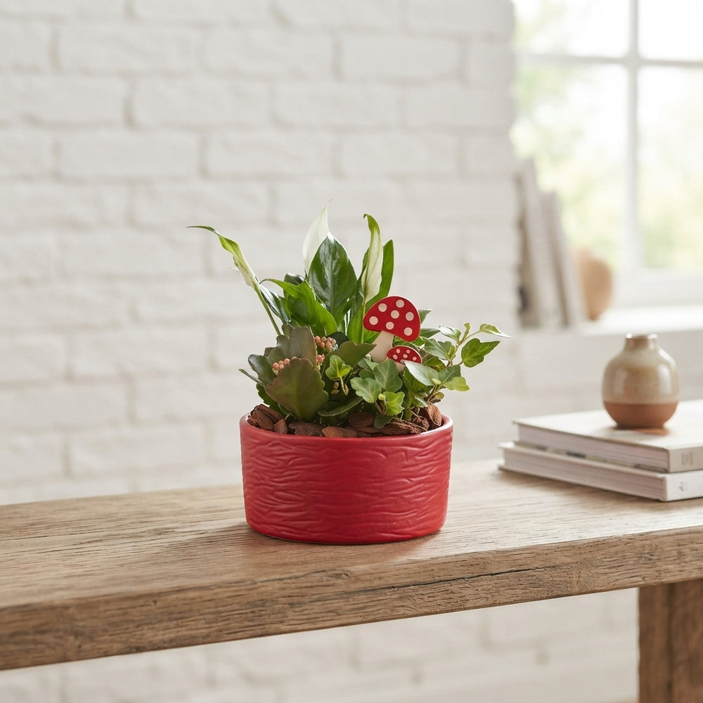 Autumn Mixed Plant Arrangement – 19cm Ceramic Pot