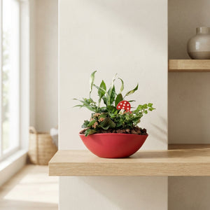 Eyleen Autumn Mix Plant Arrangement – 22cm Ceramic Boat