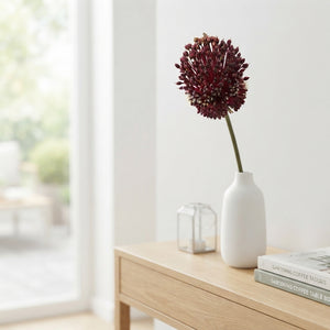Allium ‘Red Mohican’ Flower Bulbs – 2 Bulbs