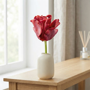 Tulipa ‘Crown Red Dress’ Flower Bulbs – Pack of 7