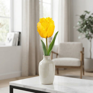 Tulipa ‘Fringed Crystal Star’ Tulip Bulbs – 12/+