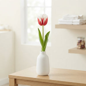 Tulipa Garden Red Snow Tulip Bulbs – Pack of 10