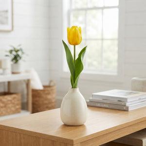 Tulipa kaufmanniana ‘Buttercup’ Spring Flower Bulbs – Pack of 7
