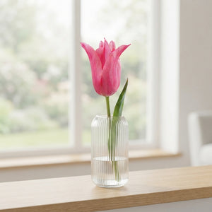 Pretty Love Lily-Flowered Tulip Bulbs – 7 Pack