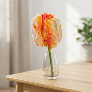 Parrot Tulip ‘King’ Bulbs – Pack of 7