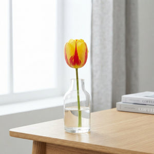 Mixed Single Late Tulip Bulb Collection – 10 Bulbs