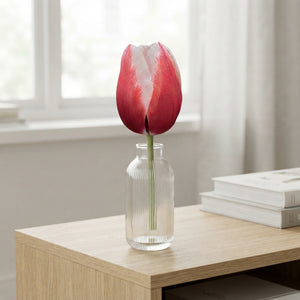 Tulipa Triumph ‘Timeless’ Flower Bulbs – 7 Bulbs