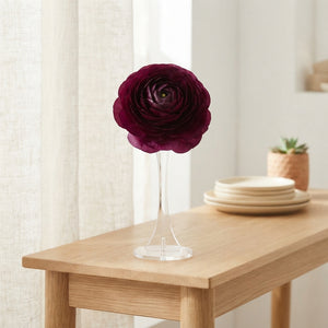Purple Ranunculus Asiaticus Flower Bulbs – Pack of 10