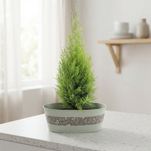 Zinc Bowl Plant Arrangement – 30cm