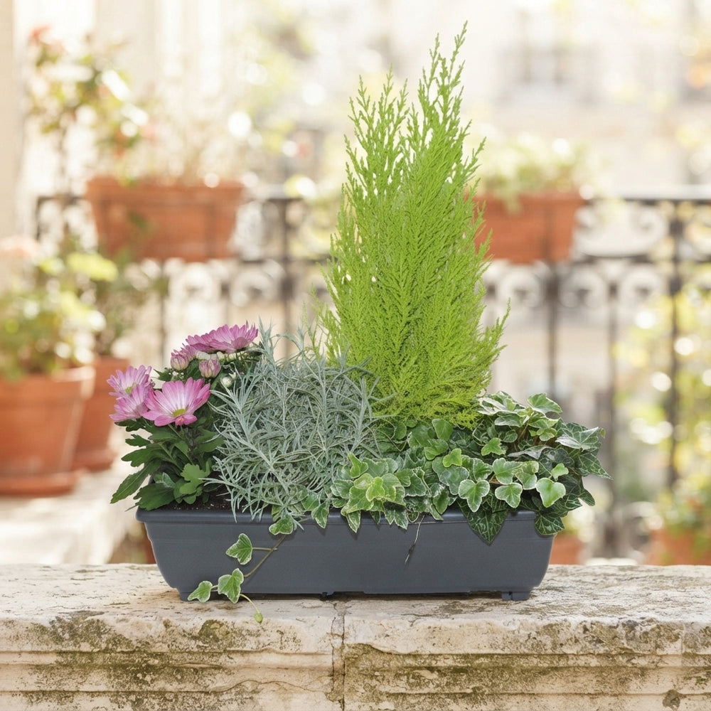 Autumn Balcony Arrangement – 40cm Ornamental Pot