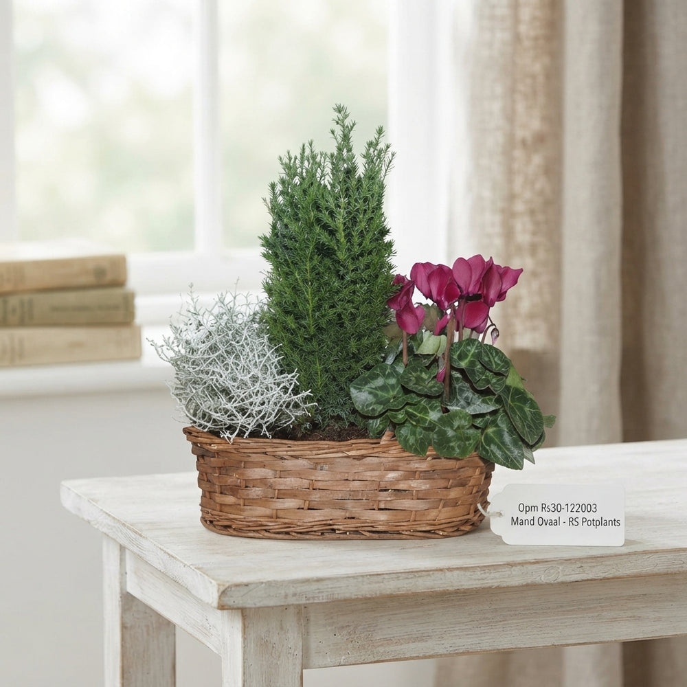 Oval Wicker Basket Arrangement – 30cm