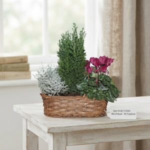 Oval Wicker Basket Arrangement – 30cm