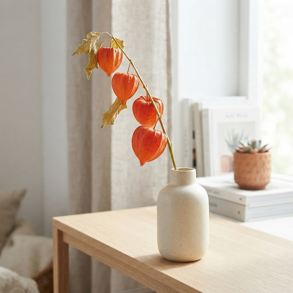 Orange Physalis Chinese Lantern Plant