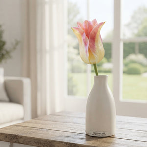 Elegant Lady Lily-Flowering Tulip Bulbs – Pack of 7