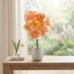 Narcissus ‘Apricot Whirl’ Flower Bulbs – Pack of 5
