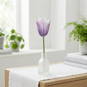 Tulipa Triumph ‘Silver Cloud’ Flower Bulbs – Pack of 5