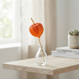 Orange Physalis Chinese Lantern Plant