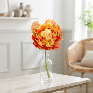 Tulipa ‘Valdivia’ Double Late Tulip Bulbs – 7 Bulbs