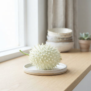 White Ornamental Cucumis Fruit