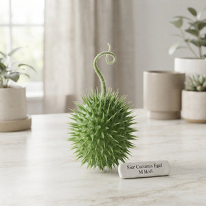 Ornamental Cucumber Fruit – Green Decorative Display