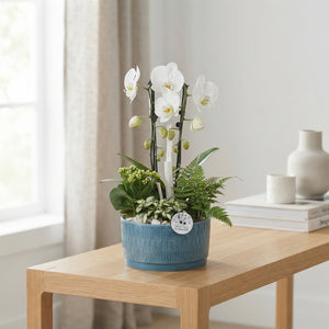 Izabella Navy Cascade Arrangement – 22cm Ceramic Pot